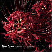 Your Dawn  The Originators featuring Tomomi UkumoriCOVER